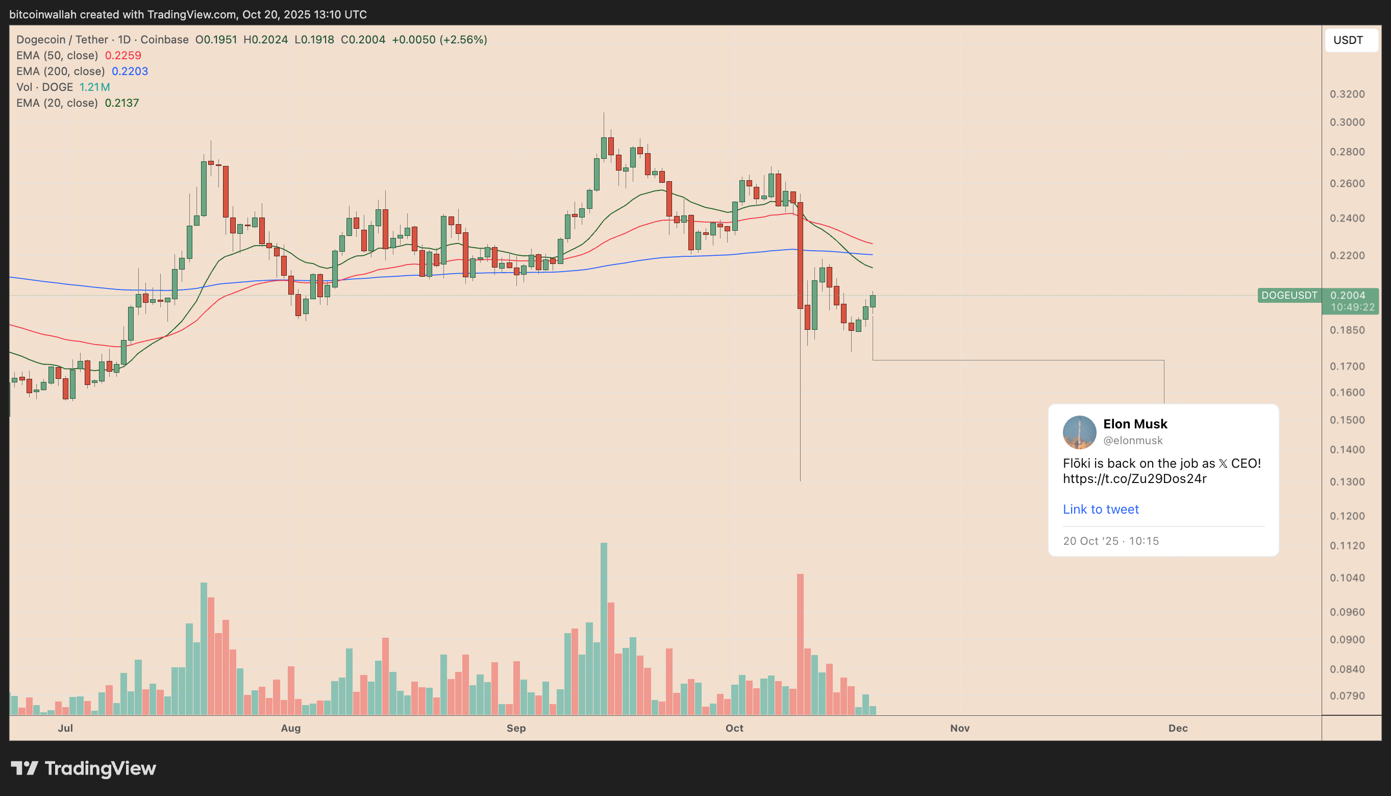 Dogecoin Eyes 25% Boom as Elon Musk Posts DOGE Tweet – Cơ Hội Bứt Phá Mới Cho Nhà Đầu Tư?
